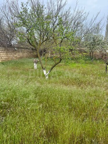 Satılır 4 otaqlı həyət evi/bağ evi 150 m², Fatmayı q., photo 14 from 16