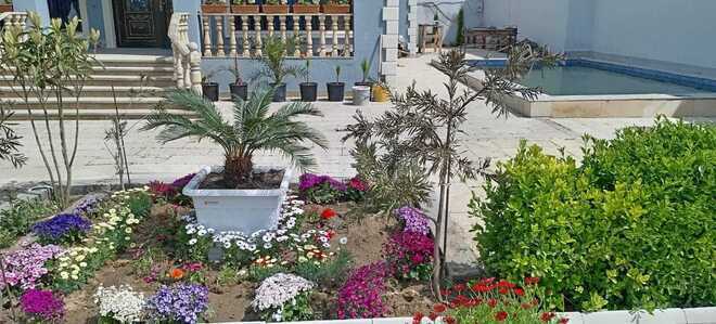 Satılır 5 otaqlı həyət evi/bağ evi 285 m², Novxanı q., photo 6 from 25