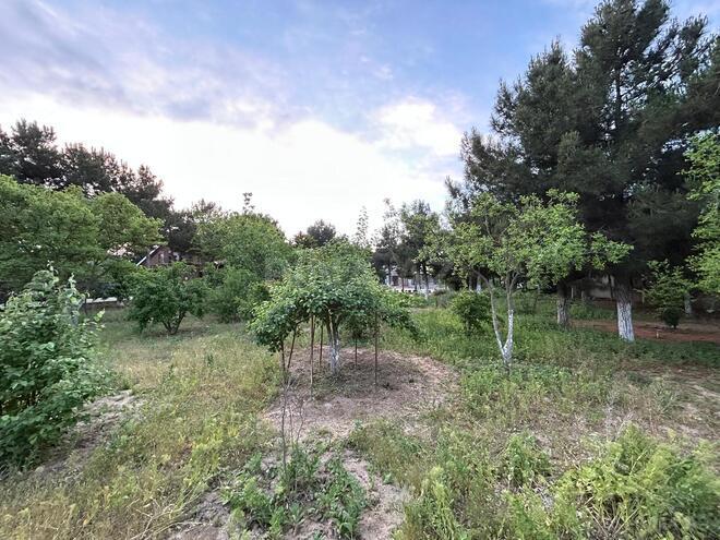 Satılır 7 otaqlı həyət evi/bağ evi 500 m², Mərdəkan q., photo 18 from 32