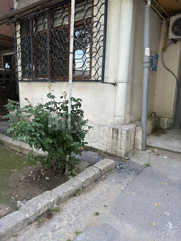 Satılır 3 otaqlı köhnə tikili 75 m², 8-ci mikrorayon q., photo 24 from 26
