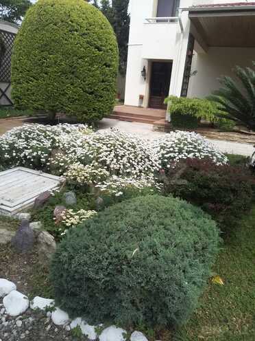 Satılır 10 otaqlı həyət evi/bağ evi 780 m², Mərdəkan q., photo 15 from 32