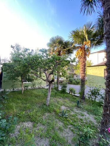 Satılır  torpaq 5 sot, Nəsimi m., photo 3 from 8