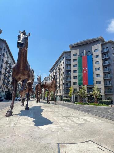 Satılır 3 otaqlı yeni tikili 120 m², Ağ şəhər q., photo 1 from 9