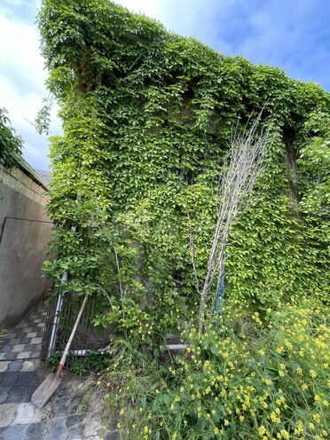 Продаётся 8-комн. дом/дача 200 м², пос. Новханы, photo 15 from 32