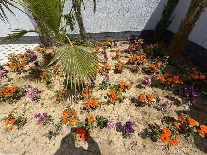 Satılır 3 otaqlı həyət evi/bağ evi 65 m², Məmmədli q., photo 3 from 12
