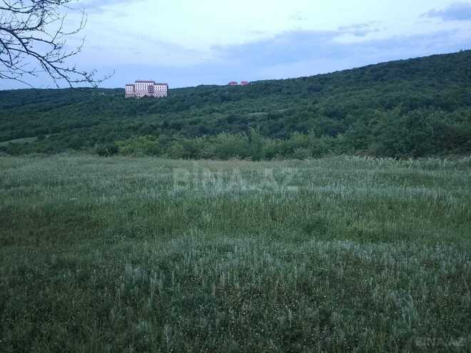 Продаётся  участок 50 сот, photo 6 from 7