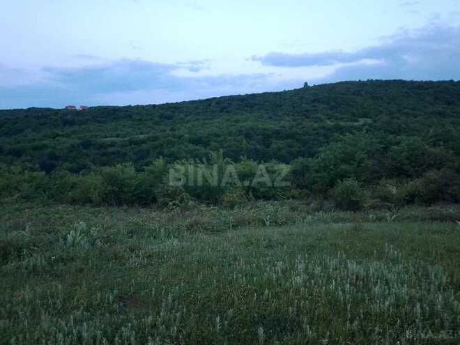 Продаётся  участок 50 сот, photo 3 from 7