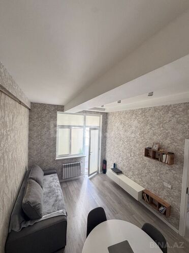 Satılır 2 otaqlı yeni tikili 47 m², photo 8 from 14