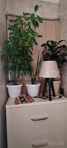 Satılır 3 otaqlı yeni tikili 92 m², Həzi Aslanov m., photo 11 from 26