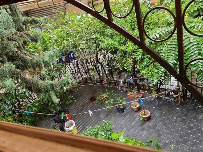 İcarəyə verilir 3 otaqlı köhnə tikili 95 m², Nəriman Nərimanov m., photo 15 from 17