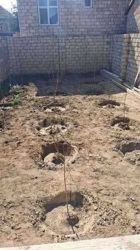 Satılır 4 otaqlı həyət evi/bağ evi 140 m², Abşeron r., photo 20 from 22