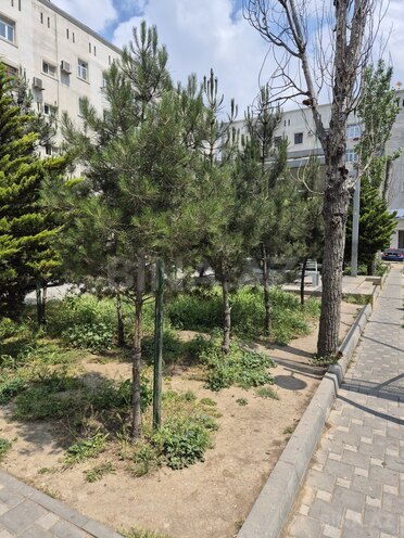 Satılır 2 otaqlı köhnə tikili 52 m², Badamdar q., photo 10 from 13