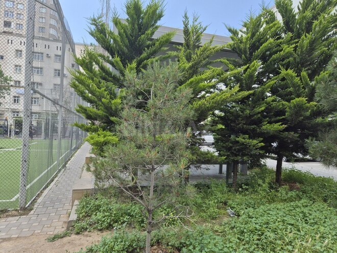 Satılır 2 otaqlı köhnə tikili 52 m², Badamdar q., photo 1 from 13