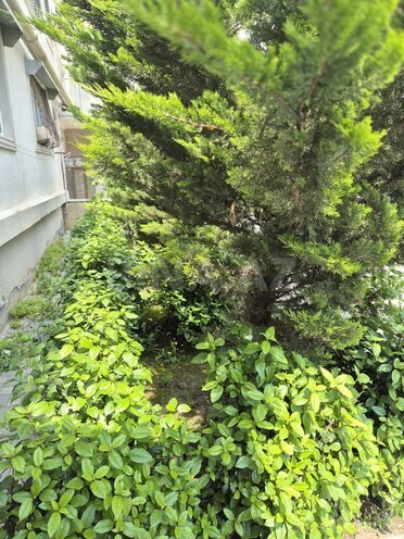 Satılır 2 otaqlı köhnə tikili 52 m², Badamdar q., photo 11 from 13