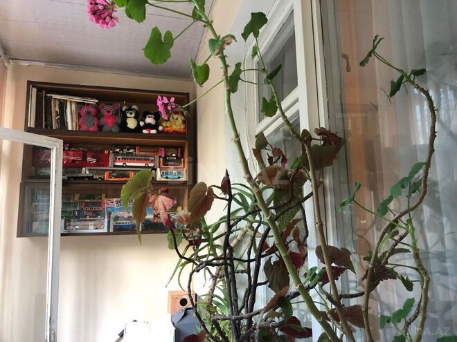 Satılır 3 otaqlı köhnə tikili 70 m², Memar Əcəmi m., photo 9 from 16