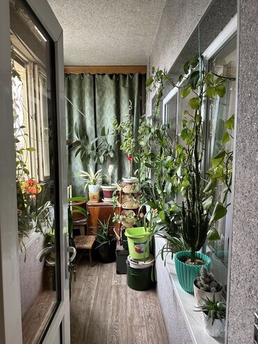 Продаётся 3-комн. вторичка 75 м², пос. 8-й мкр, photo 6 from 29