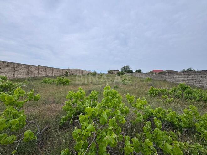 Satılır  torpaq 24 sot, Nardaran q., photo 12 from 14