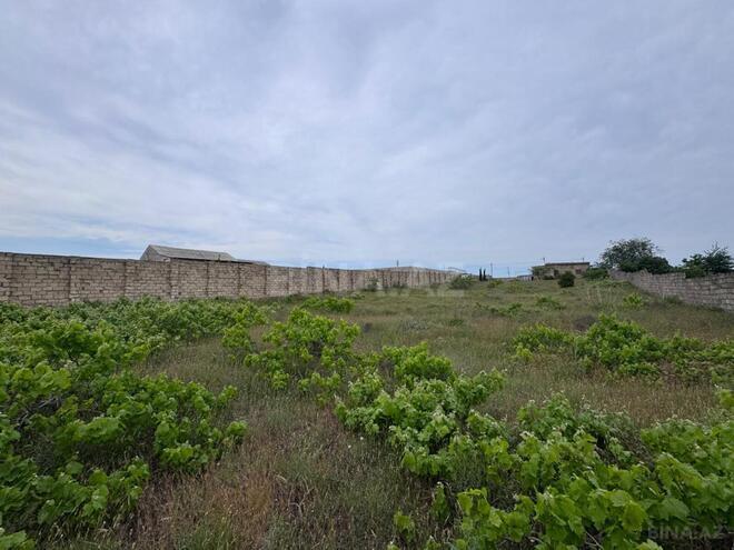 Satılır  torpaq 24 sot, Nardaran q., photo 7 from 14