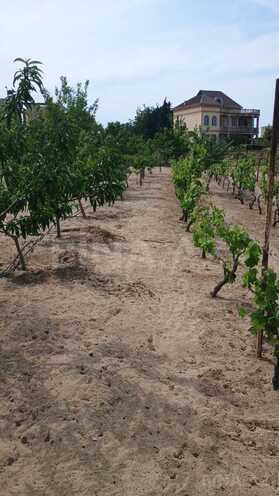 Satılır  torpaq 23 sot, Novxanı q., photo 4 from 21