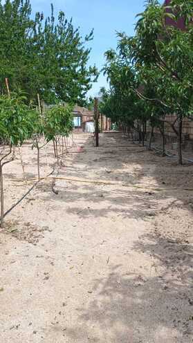 Satılır  torpaq 23 sot, Novxanı q., photo 8 from 21