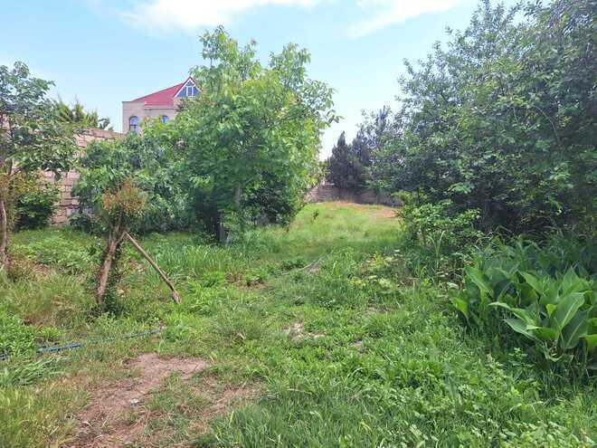 Продаётся  участок 11 сот, пос. Бузовна, photo 6 from 29