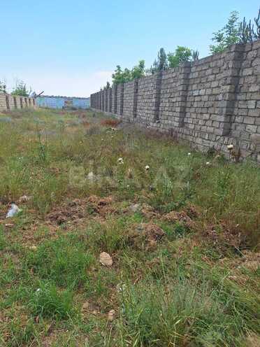 Satılır  torpaq 3 sot, Buzovna q., photo 3 from 8
