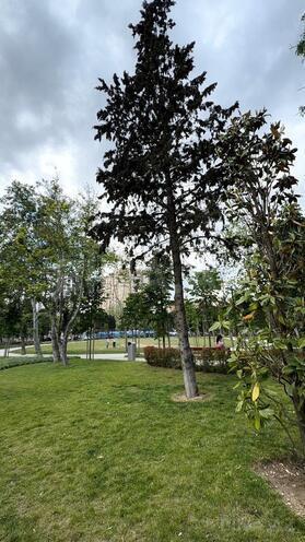 Продаётся 4-комн. новостройка 218 м², м. Нариман Нариманов, photo 20 from 26