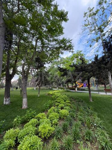 Продаётся 4-комн. новостройка 218 м², м. Нариман Нариманов, photo 18 from 26