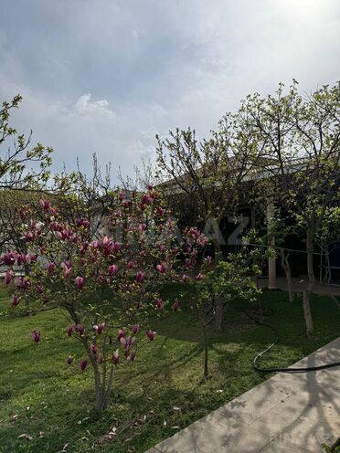 Satılır 10 otaqlı həyət evi/bağ evi 360 m², Görədil q., photo 31 from 32
