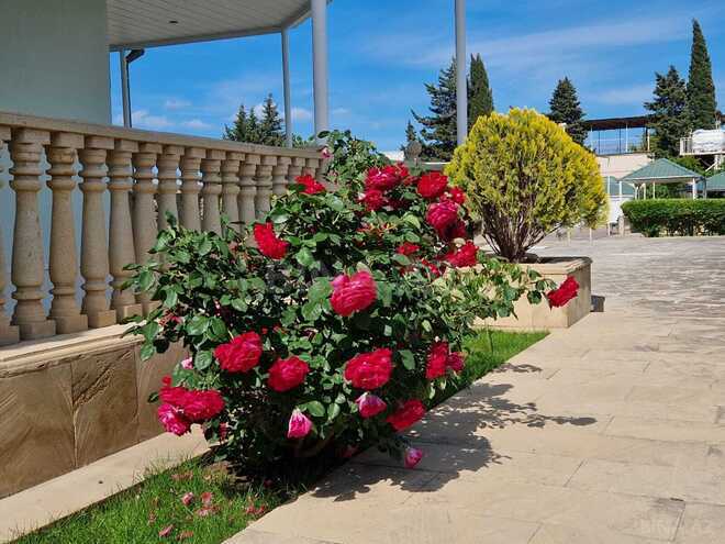 Продаётся 4-комн. дом/дача 150 м², пос. Нардаран, photo 17 from 24