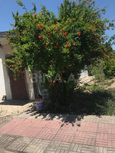 Продаётся  участок 26 сот, пос. Горадил, photo 8 from 15