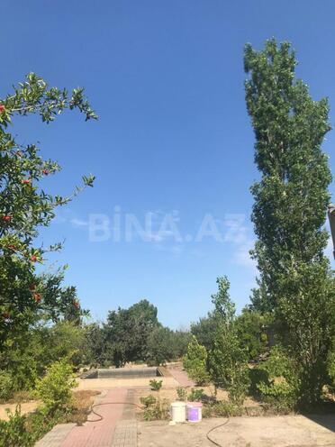 Продаётся  участок 26 сот, пос. Горадил, photo 10 from 15