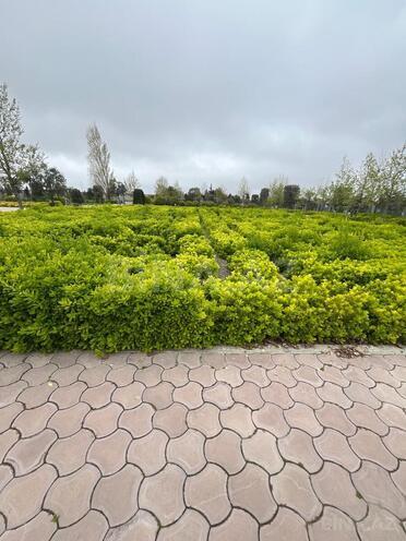 Продаётся  участок 5 сот, пос. Дюбенди, photo 7 from 18
