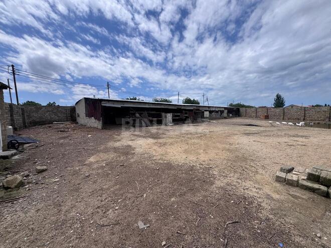 Satılır  torpaq 150 sot, Nardaran q., photo 13 from 16