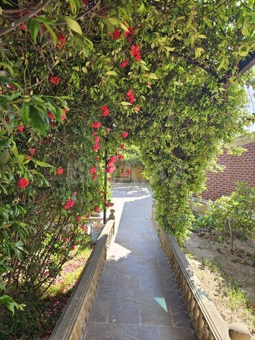 Satılır 8 otaqlı həyət evi/bağ evi 168 m², Binə q., photo 7 from 32