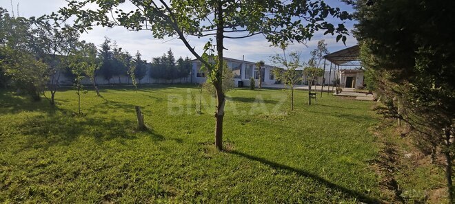 Satılır 3 otaqlı həyət evi/bağ evi 80 m², Binə q., photo 5 from 16