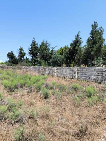 Satılır  torpaq 2 sot, Albalılıq q., photo 8 from 10