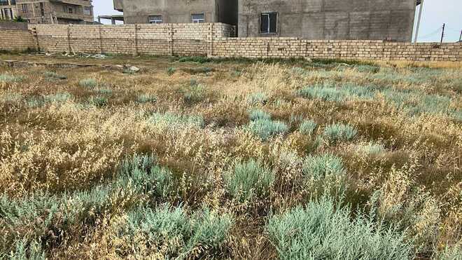 Satılır  torpaq 3 sot, Badamdar q., photo 5 from 6