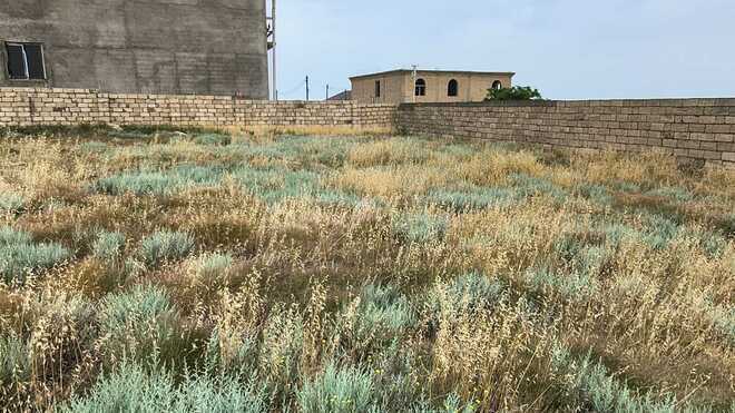 Satılır  torpaq 3 sot, Badamdar q., photo 3 from 6