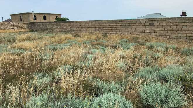 Satılır  torpaq 3 sot, Badamdar q., photo 4 from 6