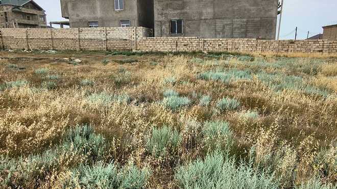 Satılır  torpaq 3 sot, Badamdar q., photo 1 from 6