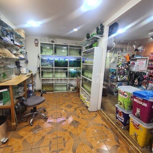İcarəyə verilir  obyekt 60 m², İnşaatçılar m., photo 8 from 12