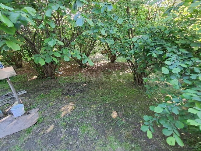 Satılır  torpaq 11 sot, photo 3 from 16