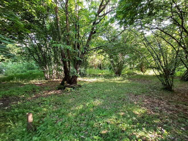 Satılır  torpaq 11 sot, photo 11 from 16