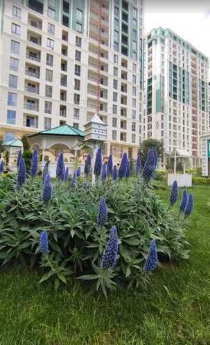 Satılır 4 otaqlı yeni tikili 178 m², Gənclik m., photo 4 from 9