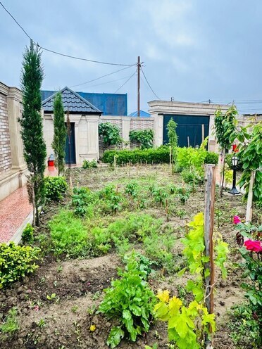 Сдаётся 6-комн. дом/дача 500 м², пос. Мардакан, photo 14 from 21