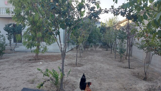 Satılır 6 otaqlı həyət evi/bağ evi 240 m², Yeni Ramana q., photo 13 from 26
