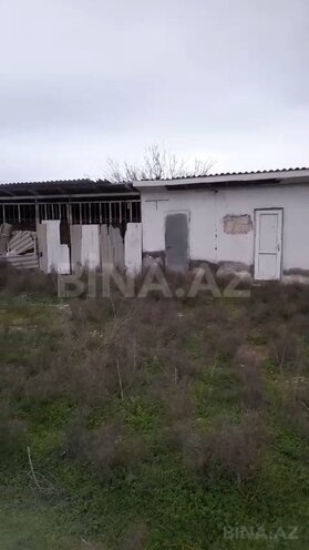 Satılır  obyekt 1 200 m², Abşeron r., photo 4 from 5