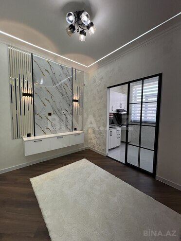 Satılır 2 otaqlı yeni tikili 46 m², photo 19 from 20