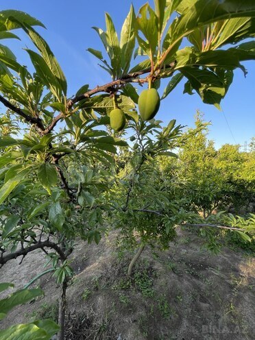 Продаётся 3-комн. дом/дача 75 м², пос. Новханы, photo 10 from 21